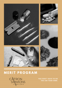 MERIT Program
